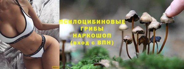 меф Бородино